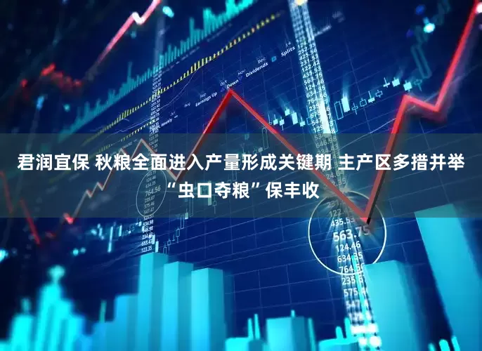 君润宜保 秋粮全面进入产量形成关键期 主产区多措并举“虫口夺粮”保丰收