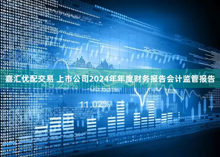 嘉汇优配交易 上市公司2024年年度财务报告会计监管报告