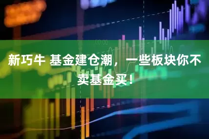 新巧牛 基金建仓潮，一些板块你不卖基金买！