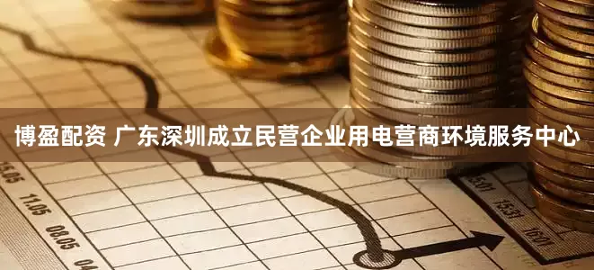 博盈配资 广东深圳成立民营企业用电营商环境服务中心