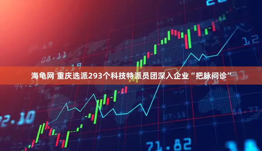 海龟网 重庆选派293个科技特派员团深入企业“把脉问诊”